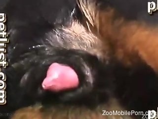 Wig-wearing gay dude gets fucked in the ass by a dog