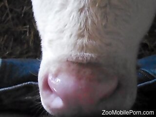 Tiny cock pleasured orally by a really sexy animal