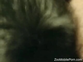 Hairy guy wants to hump the horny beast on cam